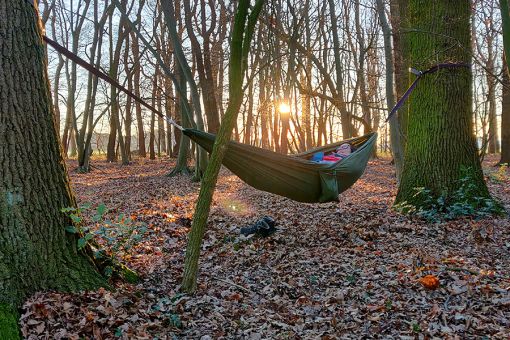Die beruhigende Atmosphäre des Waldes entspannt uns nachhaltig. Die beruhigende Atmosphäre des Waldes entspannt uns nachhaltig.