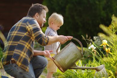 Ein Vater wässert mit seinem Sohn mit einer Gießkanne die Pflanzen im Garten.